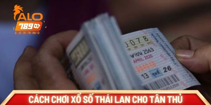 Hướng dẫn cách chơi xổ số Thái Lan cho tân thủ